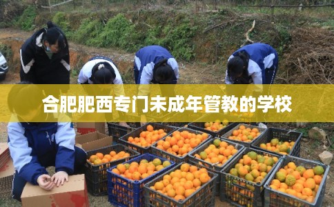 合肥肥西专门未成年管教的学校