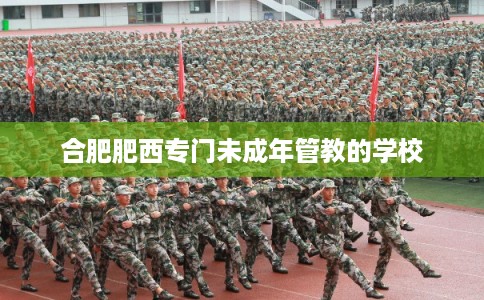 合肥肥西专门未成年管教的学校