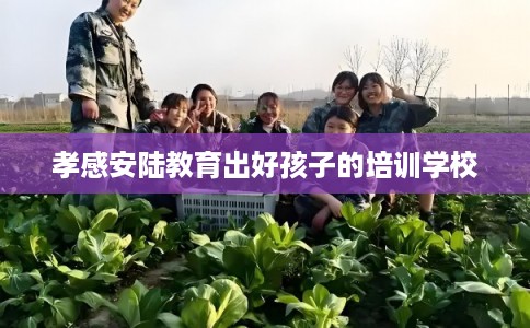 孝感安陆教育出好孩子的培训学校