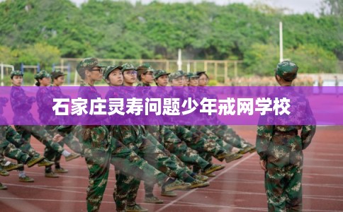 石家庄灵寿问题少年戒网学校
