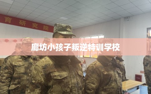 廊坊小孩子叛逆特训学校 廊坊小孩子叛逆特训学校