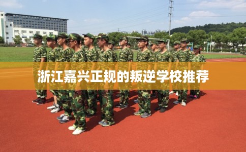 浙江嘉兴正规的叛逆学校推荐