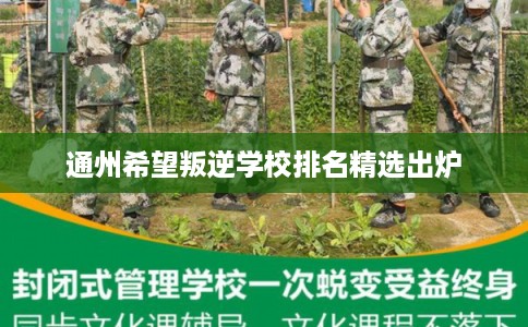 通州希望叛逆学校排名精选出炉