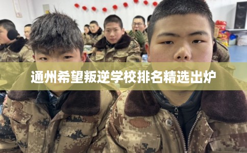 通州希望叛逆学校排名精选出炉