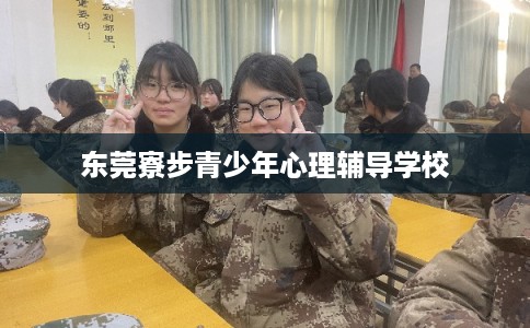 东莞寮步青少年心理辅导学校 东莞寮步青少年心理辅导学校