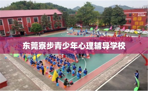 东莞寮步青少年心理辅导学校