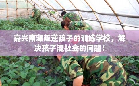 嘉兴南湖叛逆孩子的训练学校,解决孩子混社会的问题! 嘉兴南湖叛逆孩子的训练学校,解决孩子混社会的问题!