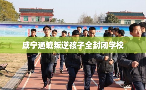 咸宁通城叛逆孩子全封闭学校