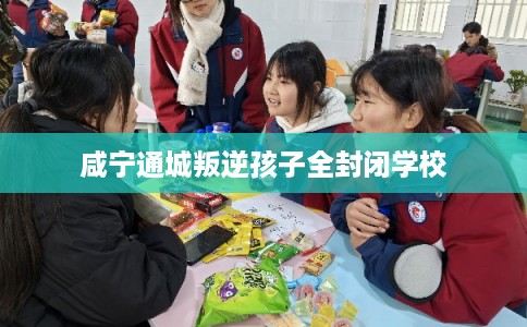 咸宁通城叛逆孩子全封闭学校