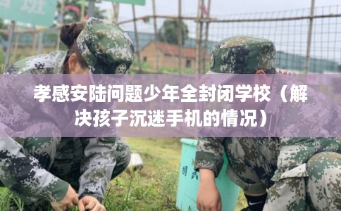 孝感安陆问题少年全封闭学校（解决孩子沉迷手机的情况）