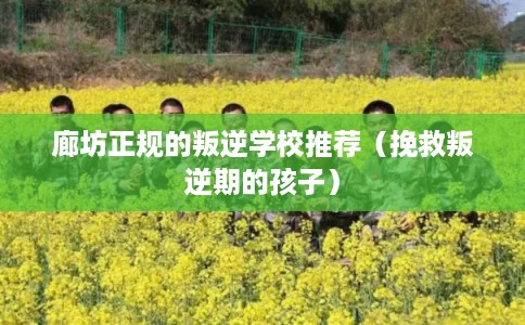 廊坊正规的叛逆学校推荐（挽救叛逆期的孩子）