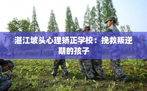 湛江坡头心理矫正学校:挽救叛逆期的孩子 湛江坡头心理矫正学校:挽救叛逆期的孩子