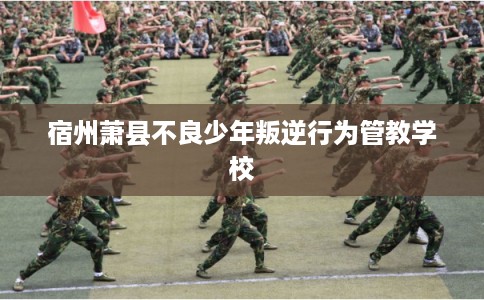 宿州萧县不良少年叛逆行为管教学校