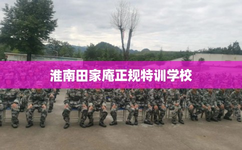 淮南田家庵正规特训学校