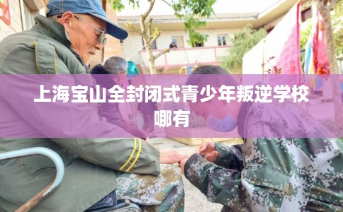 上海宝山全封闭式青少年叛逆学校哪有 上海宝山全封闭式青少年叛逆学校哪有