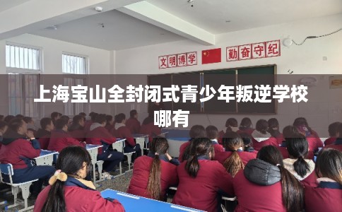 上海宝山全封闭式青少年叛逆学校哪有 上海宝山全封闭式青少年叛逆学校哪有