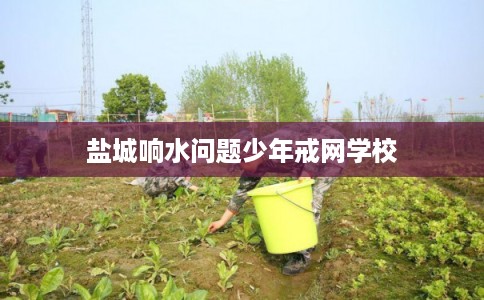盐城响水问题少年戒网学校