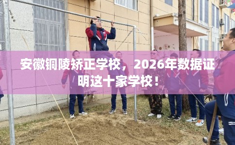 安徽铜陵矫正学校，2026年数据证明这十家学校！