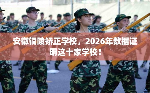 安徽铜陵矫正学校，2026年数据证明这十家学校！