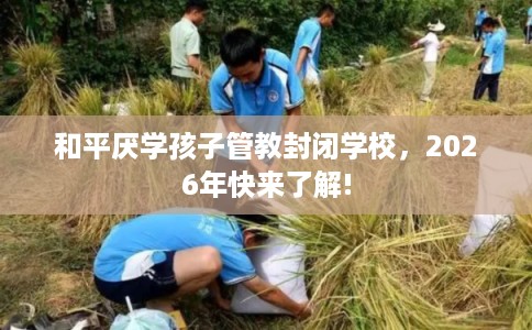 和平厌学孩子管教封闭学校，2026年快来了解!
