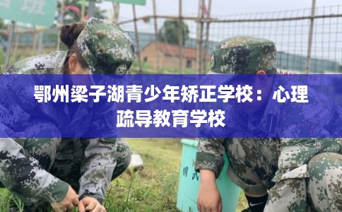鄂州梁子湖青少年矫正学校：心理疏导教育学校