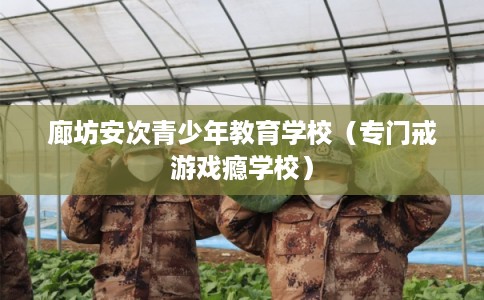 廊坊安次青少年教育学校(专门戒游戏瘾学校) 廊坊安次青少年教育学校(专门戒游戏瘾学校)