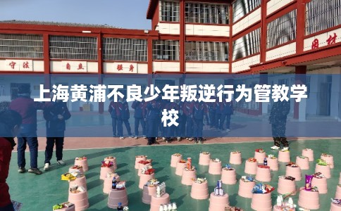 上海黄浦不良少年叛逆行为管教学校 上海黄浦不良少年叛逆行为管教学校