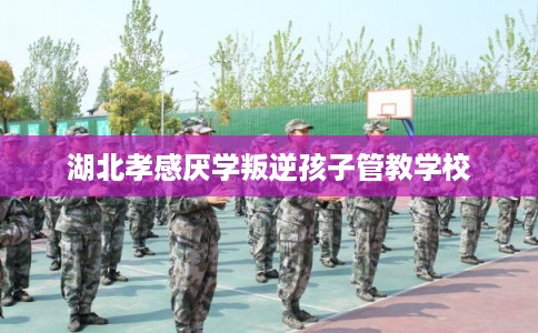 湖北孝感厌学叛逆孩子管教学校
