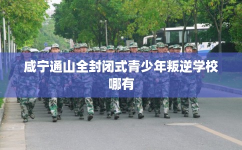 咸宁通山全封闭式青少年叛逆学校哪有