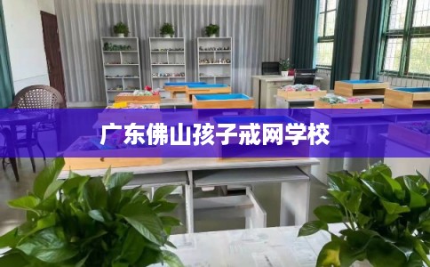 广东佛山孩子戒网学校