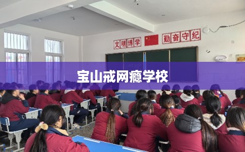 宝山戒网瘾学校