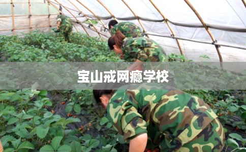 宝山戒网瘾学校