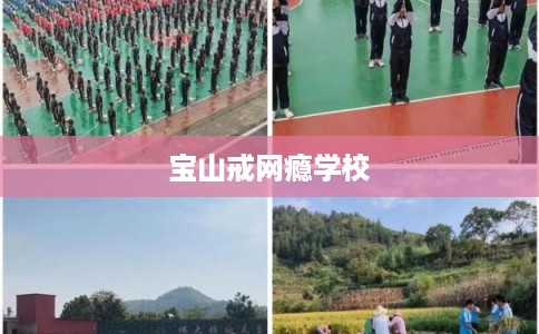宝山戒网瘾学校