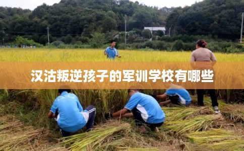 汉沽叛逆孩子的军训学校有哪些