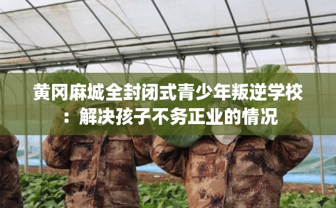 黄冈麻城全封闭式青少年叛逆学校:解决孩子不务正业的情况 黄冈麻城全封闭式青少年叛逆学校:解决孩子不务正业的情况