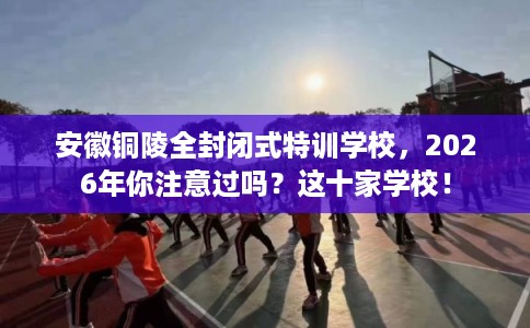 安徽铜陵全封闭式特训学校，2026年你注意过吗？这十家学校！