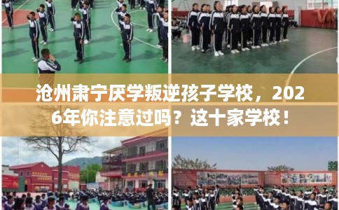 沧州肃宁厌学叛逆孩子学校，2026年你注意过吗？这十家学校！