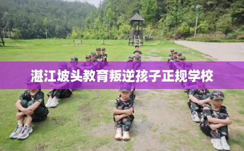 湛江坡头教育叛逆孩子正规学校