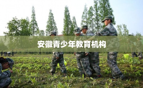 安徽青少年教育机构
