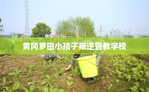 黄冈罗田小孩子叛逆管教学校