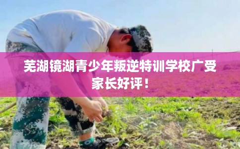 芜湖镜湖青少年叛逆特训学校广受家长好评！