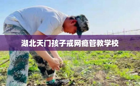 湖北天门孩子戒网瘾管教学校 湖北天门孩子戒网瘾管教学校