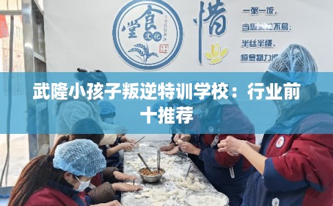 武隆小孩子叛逆特训学校：行业前十推荐