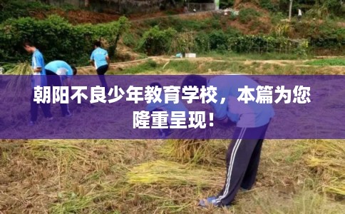 朝阳不良少年教育学校，本篇为您隆重呈现！