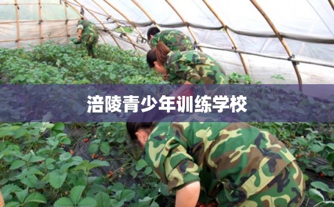 涪陵青少年训练学校