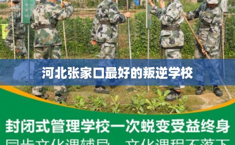 河北张家口最好的叛逆学校