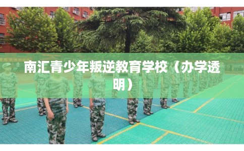 南汇青少年叛逆教育学校（办学透明）