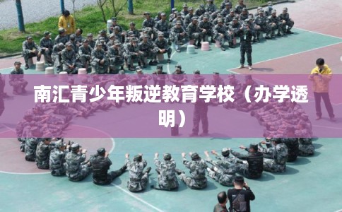 南汇青少年叛逆教育学校（办学透明）