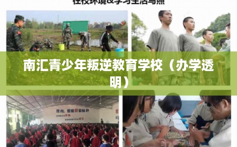 南汇青少年叛逆教育学校（办学透明）