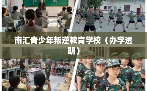 南汇青少年叛逆教育学校（办学透明）